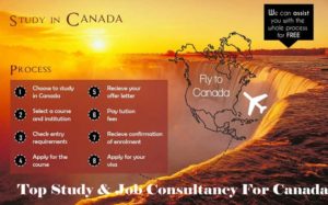 Top Overseas Education Consultancy For Canada In Delhi-NCR