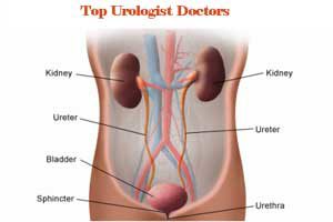 Top Urologist Doctors In Srinagar