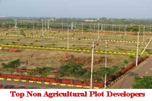 City Wise Best Non Agricultural Plot Developers In India