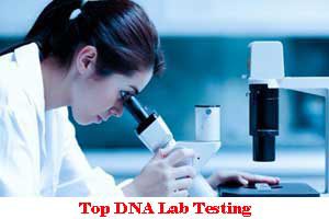 Area Wise Best DNA Lab Testing In Ahmedabad