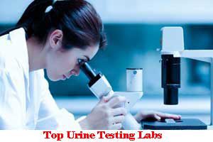 Area Wise Best Urine Testing Labs In Lucknow