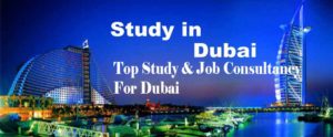 Top Overseas Education Consultancy For Dubai In Delhi-NCR