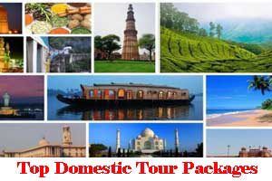 Top Domestic Tour Packages In India