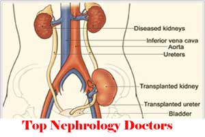 City Wise Best Nephrologists Doctors In India