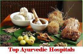 Top Ayurvedic Hospitals In Palghar
