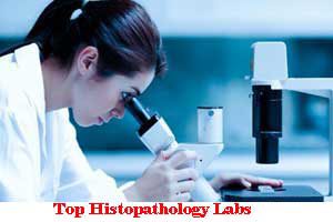 Top Histopathology Labs In Sector 41 Chandigarh