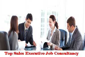 Top Sales Executive Job Consultancy In Pradhikaran Pune