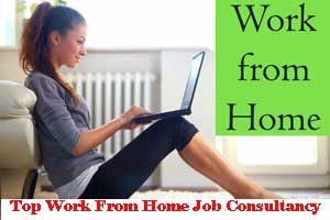 Top Work From Home Job Consultancy In Naktala Kolkata